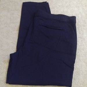 Maurices I Am Smart Dress Pant